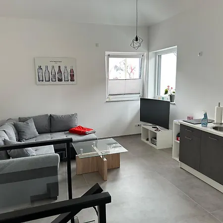 Thiels Mansion Apartament